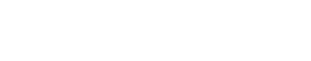 Dies Car Service Automotive
